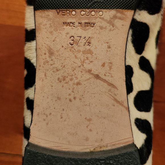 Giuseppe Zanetti - Picture 12 of 12